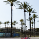 Illustration for article titled Long Beach Is Full Of All The Fast Cars